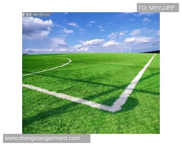 《从草地到绿茵场:一位足球巨星的成长与奋斗之路》 《从草地到绿茵场:一位足球巨星的成长与奋斗之路》