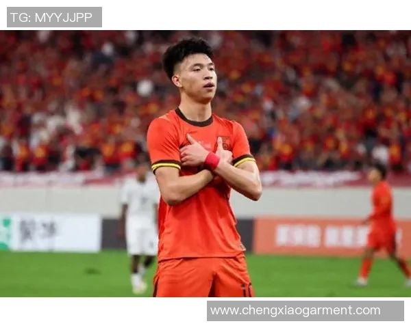 中国足球依然崛起 这些球星未曾落寞为中国足球争光 中国足球依然崛起 这些球星未曾落寞为中国足球争光